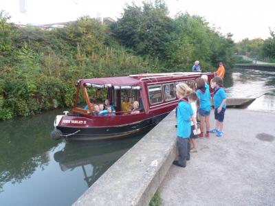 Beavers standing on canalside