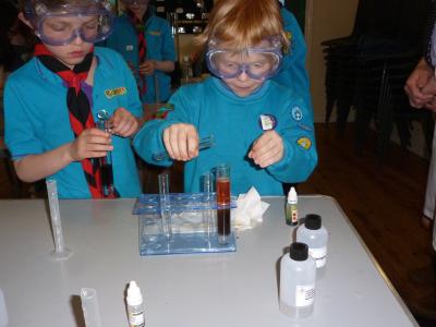 Beavers using test tubes