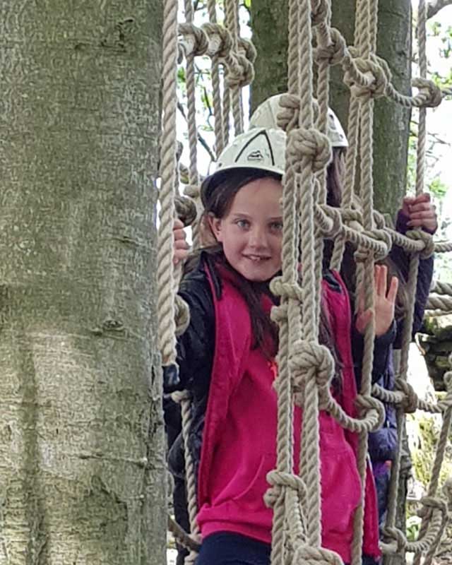 scouts summer camp climbing trees