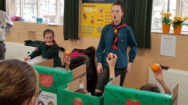 scouts fundraising activities