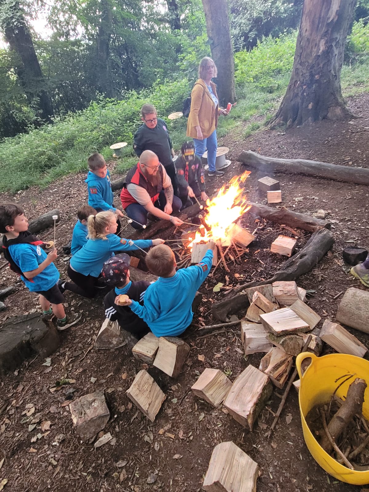 Beavers fun activity